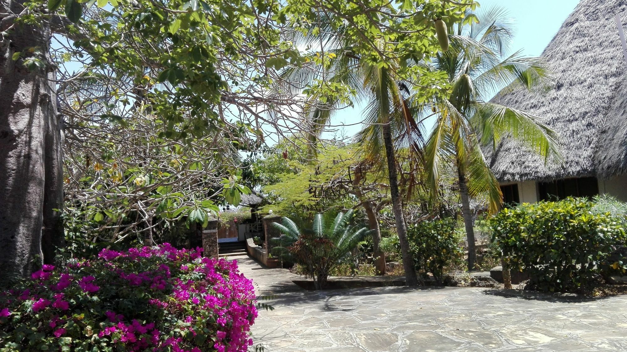 Flamingo Villas Resort Малинди Экстерьер фото