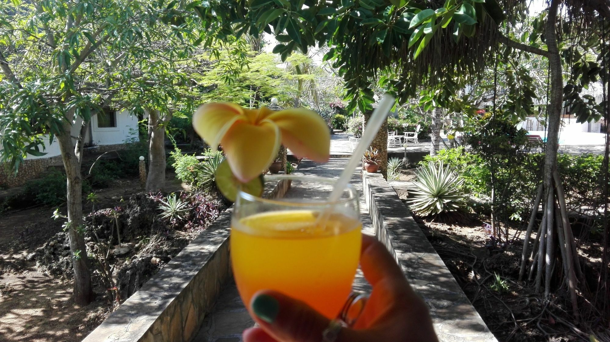 Flamingo Villas Resort Малинди Экстерьер фото
